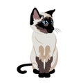 Cartoon Cute Siamese Cat Illustration Isolated Royalty Free Stock Photo