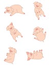 Cartoon cute sleeping pigs in different poses Royalty Free Stock Photo