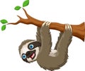 Cartoon cute sloth hanging on the tree isolated on white background