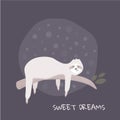 Cartoon cute sloth with slogan sweet dreams. T-shirt, mug print, poster, home decor calligraphy design. Vector illustration Royalty Free Stock Photo