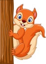 Cartoon cute squirrel climbing on a tree Royalty Free Stock Photo