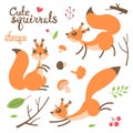 Cartoon cute squirrel. Little funny squirrels. Vector illustration