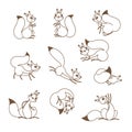 Cartoon cute squirrel. Little funny squirrels. Vector illustration