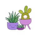 Cartoon cute succulents in pot.