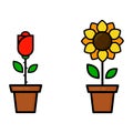 Cartoon cute sunflower and red rose in a pot