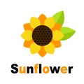 Cartoon cute sunflower vector image with leaves and text