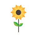 Cartoon cute sunflower on a white background