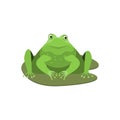 Cartoon Cute Surprised Green Frog Character . Vector