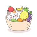 Cartoon cute cat sleeping and fruits in basket vector.