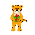 A cartoon cute tiger holds a Christmas gift in its paws. Vector illustration, the concept of Christmas and New Year