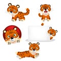 Cartoon cute tiger set. Collection of 2022 Chinese year symbol.