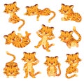 Cartoon cute tigers, happy little tiger cubs. Adorable baby tiger sleeping or playing, wild cats animal characters in