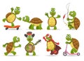 Cartoon cute tortoise set