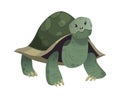 Cartoon cute turtle. Standing smiling happy snorkel tortoise, vector isolated tropical animal