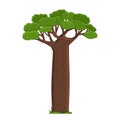 Cartoon cute vector outline Madagascar baobab green brown African tree. Doodle single isolated hand drawn illustration on white