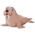 Cartoon cute walrus