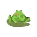 Cartoon Cute Winking Green Frog Character . Vector