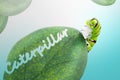 Cartoon 3D model fat caterpillar green and white with yellow and black pattern Cartoon enhance children`s learning vocabulary and