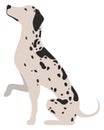 Cartoon dalmatian. Dog giving paw side view