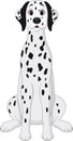 Cartoon dalmatian dog sitting