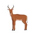 Cartoon deer animal, African stag with antlers