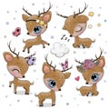 Cartoon deer isolated on a white background