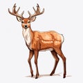 Colorful Realism: Illustration Of A Deer Cook On White Background