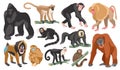 Cartoon different breeds monkeys. Funny exotic animals, tropical wildlife, various mammal primates, gorilla and