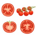 Cartoon different types tomatoes set. Red ripe vegetables isolated on white background. Slices, half tomato and cherry tomatoes on