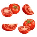 Cartoon different types tomatoes set. Red ripe vegetables isolated on white background. Slices, tomato compositions and tomato qua Royalty Free Stock Photo