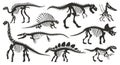 Cartoon dino skeleton silhouettes. Ancient dinosaur fossil bones, jurassic tyrannosaurus, velociraptor, spinosaurus black