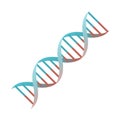 Cartoon DNA spiral genes vector isolated object illustration Royalty Free Stock Photo