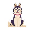 Cartoon dog. Happy puppy in red collar. Isolated domestic animal sits. Pet of hunting or guard breed. Husky with black