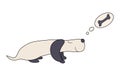 Cartoon dog Dachshund dreams of eating a bone, vector illustration. Royalty Free Stock Photo