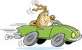 Cartoon dog driving a car Royalty Free Stock Photo