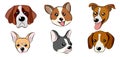 Cartoon dog faces set. Different breeds of dogs. Husky, corgi, pug, chihuahua, doberman, etc. Cute flat stickers set. Royalty Free Stock Photo