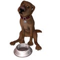 Cartoon Dog - Feed Me Royalty Free Stock Photo