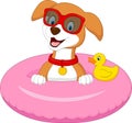 Cartoon dog with inflatable ring Royalty Free Stock Photo