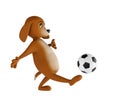 Cartoon dog is playing football. Isolated on white background. 3d render Royalty Free Stock Photo