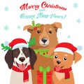 Cartoon Dog With Santa Hat And Christmas Text Vector Card For Your Christmas Greeting Cards, Invitations.