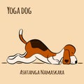 Cartoon dog shows yoga pose Ashtanga Namaskara Royalty Free Stock Photo
