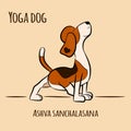 Cartoon dog shows yoga pose Ashva Sanchalasan Royalty Free Stock Photo