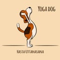 Cartoon dog shows yoga pose Hasta uttanasana