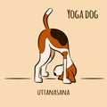 Cartoon dog shows yoga pose uttanasana - standing forward bend pose