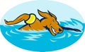 Cartoon dog swimming Royalty Free Stock Photo