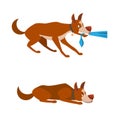 Set of poses for the animation of the dog
