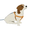 A cartoon dog waiting for the owner. Drawing on white background