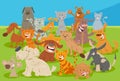 Cartoon dogs and cats comic animal characters group Royalty Free Stock Photo