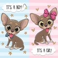 Cartoon Dogs Chihuahua boy and girl