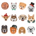 Cartoon dogs and hipster puppy face muzzles vector icons